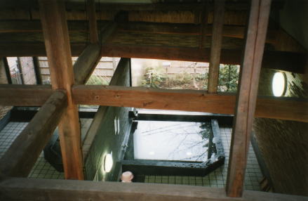 葭之池温泉女湯上から梁越し黒御影石浴槽写真